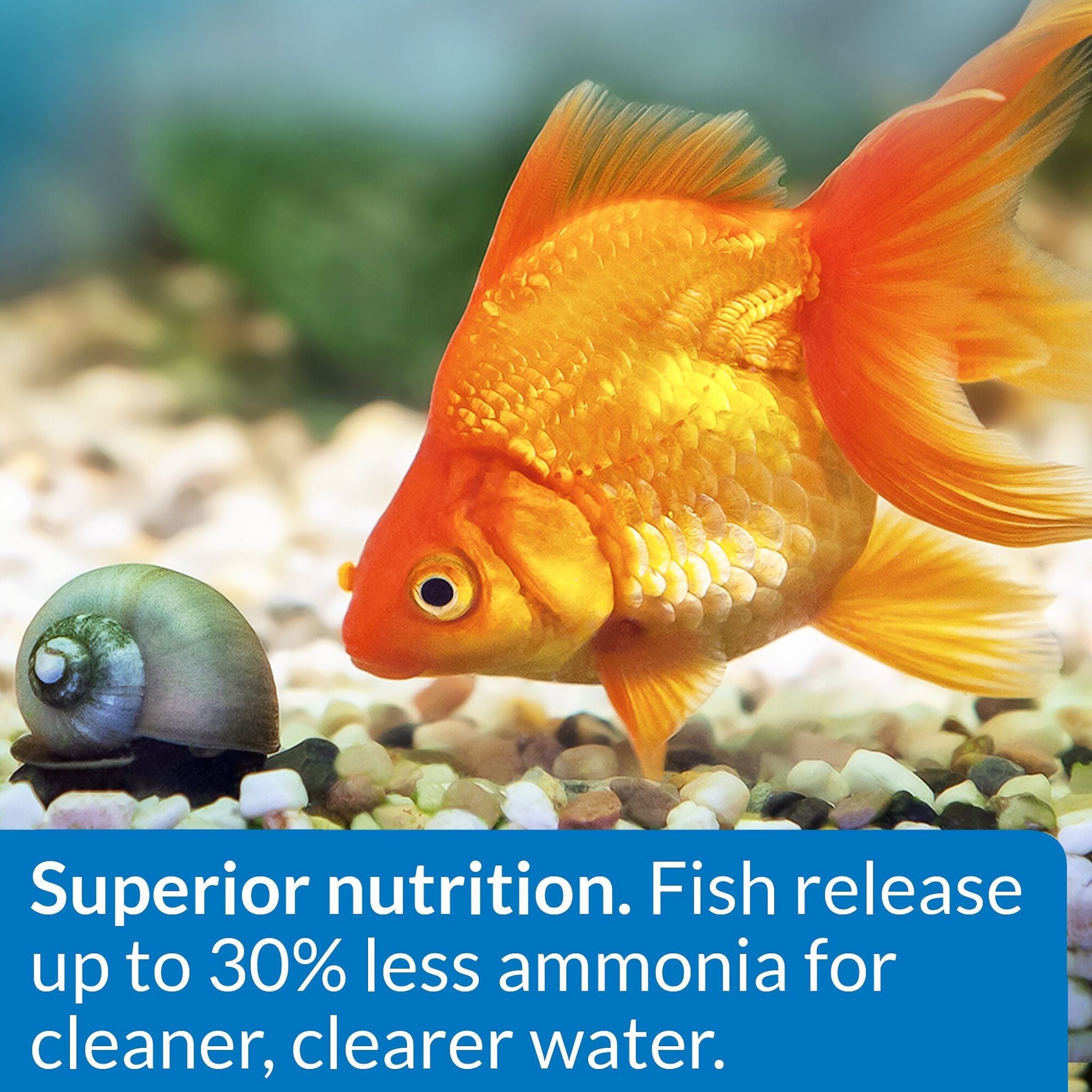 API Goldfish Pellets Sinking