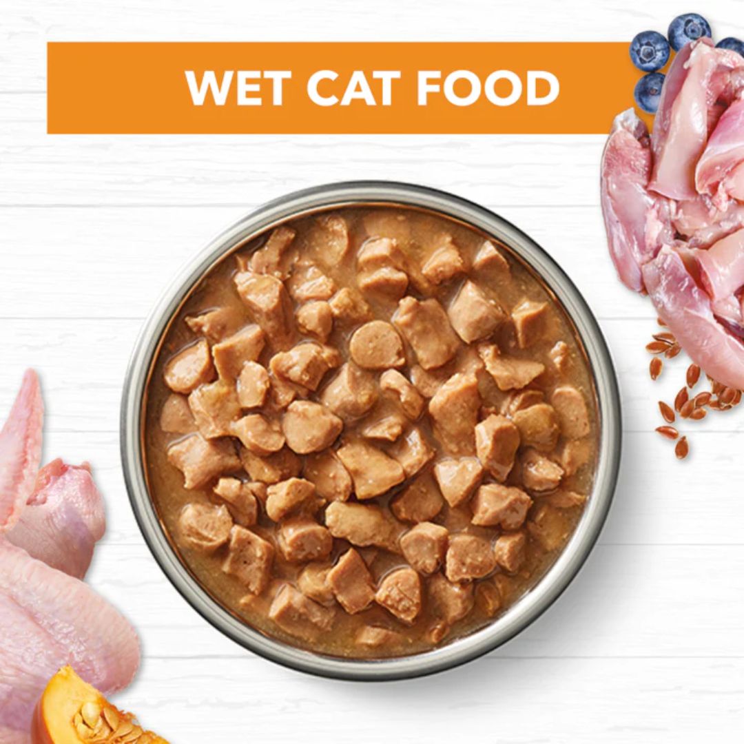 Ivory Coat Grain Free Adult Wet Cat Food Chicken in Gravy