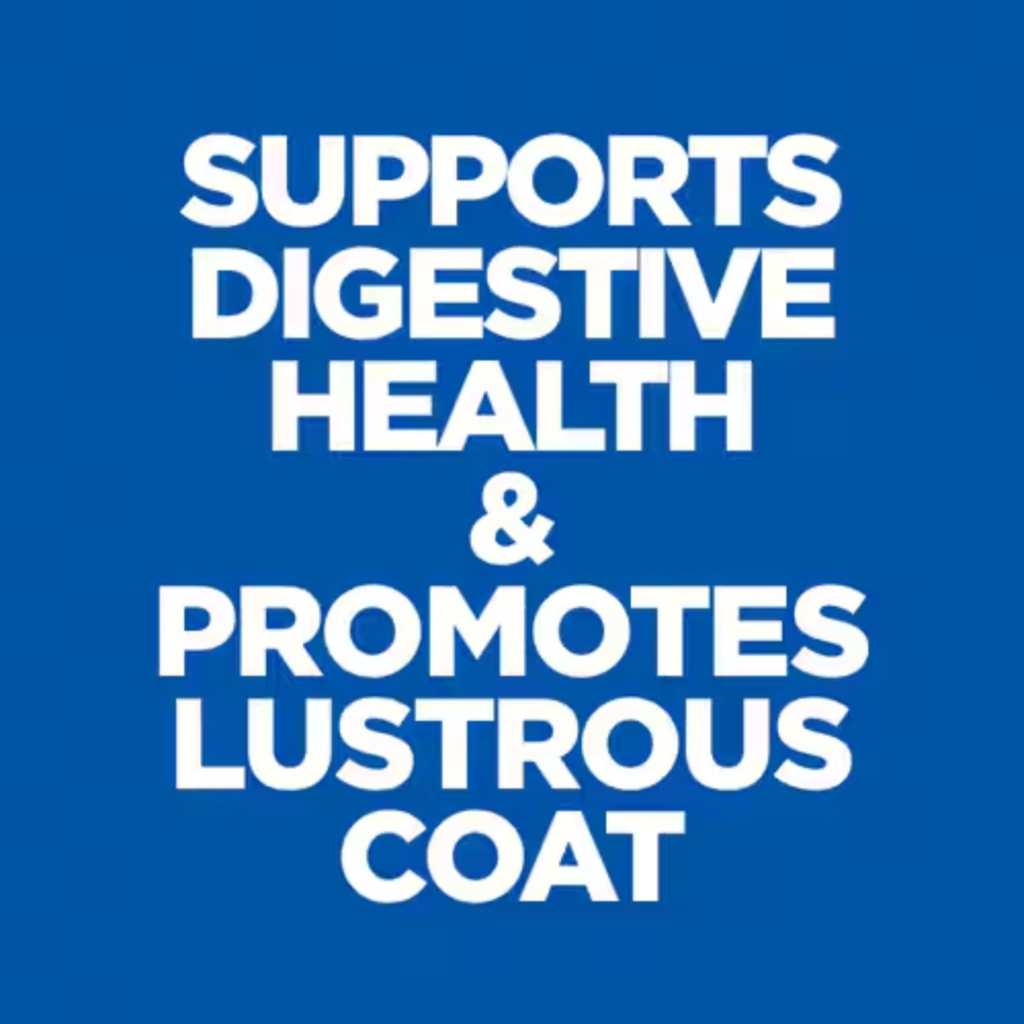 Hill's Science Diet Sensitive Stomach & Skin Adult Small & Mini Breed Dog Mousse with Turkey