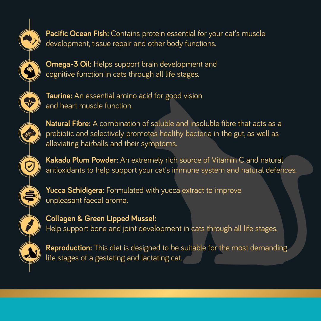 Talentail Ultimate Premium Dry Cat Food Pacific Ocean Fish