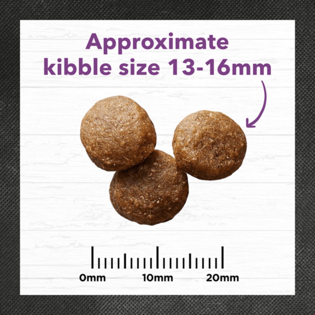 Ivory Coat Holistic Nutrition Puppy Large Breed Dry Dog Food Turkey & Brown Rice