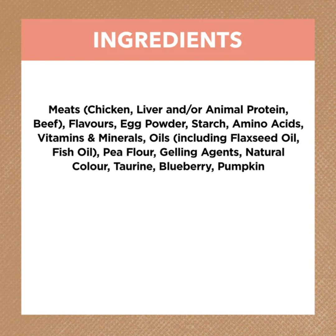 Ivory Coat Grain Free Kitten Wet Food Chicken and Beef in Gravy