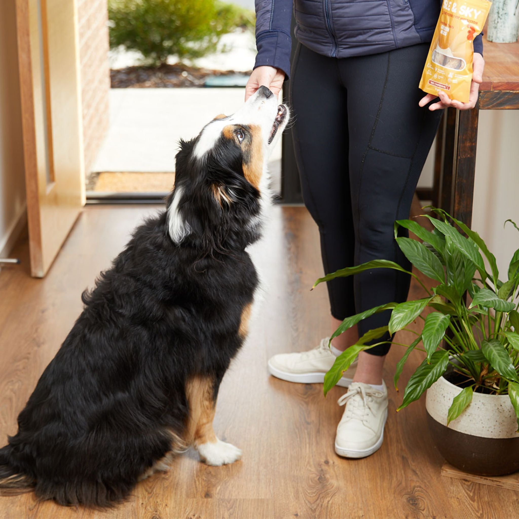 Isle and Sky Freeze Dried Pet Treats Chicken Necks