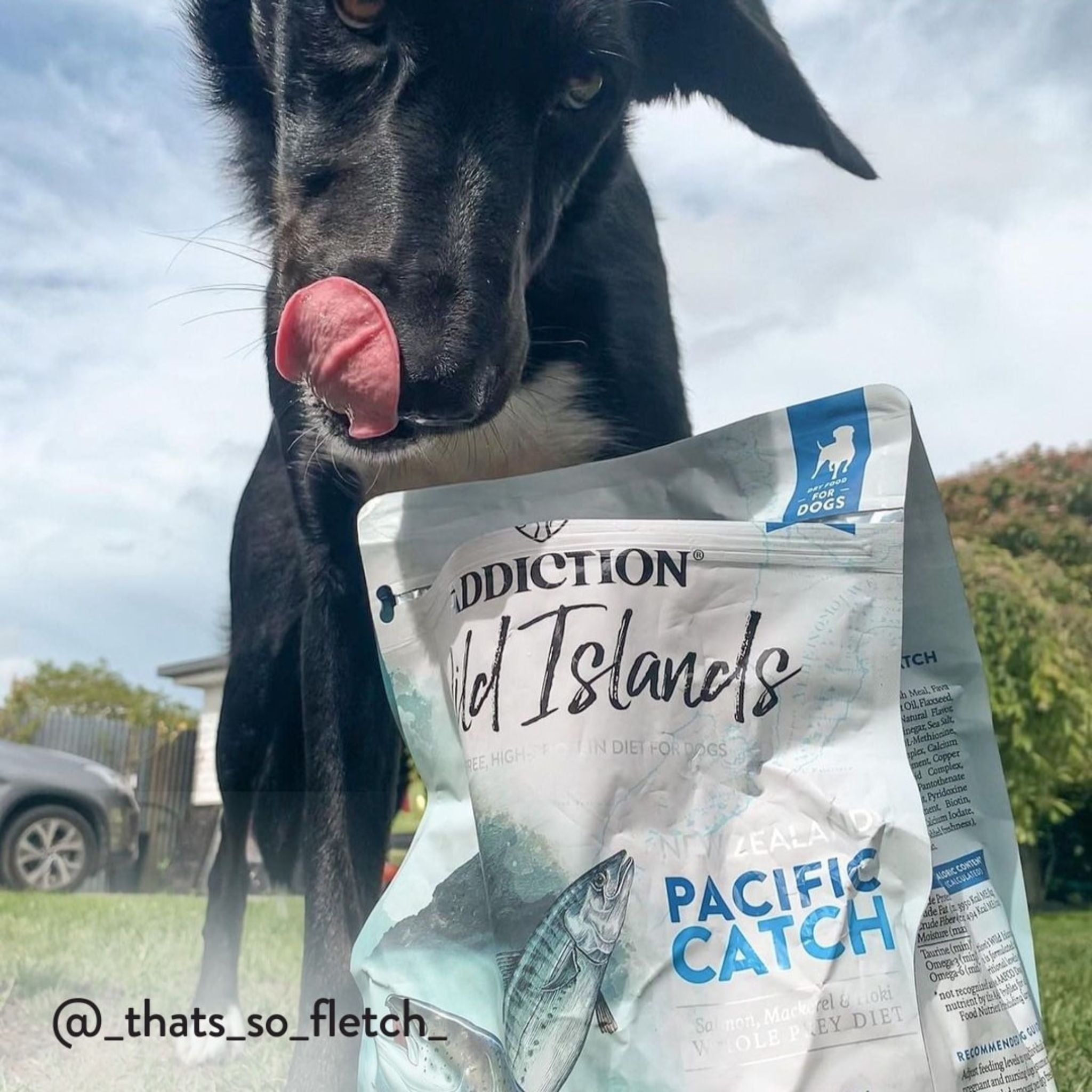 ADDICTION Wild Islands Pacific Catch Premium King Salmon Mackerel & Hoki Dry Dog Food