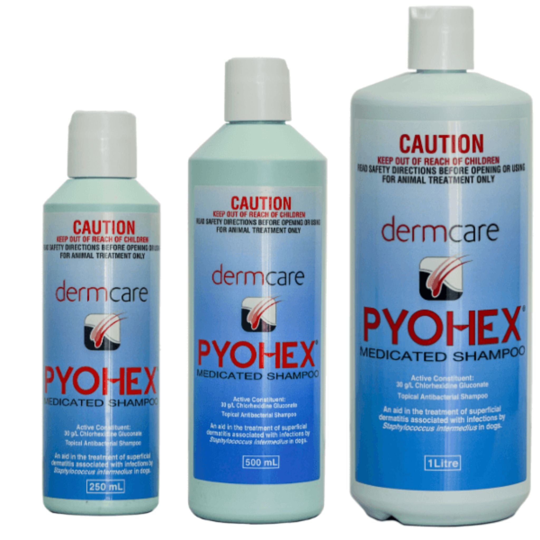 Dermcare Pyohex Medicated Shampoo