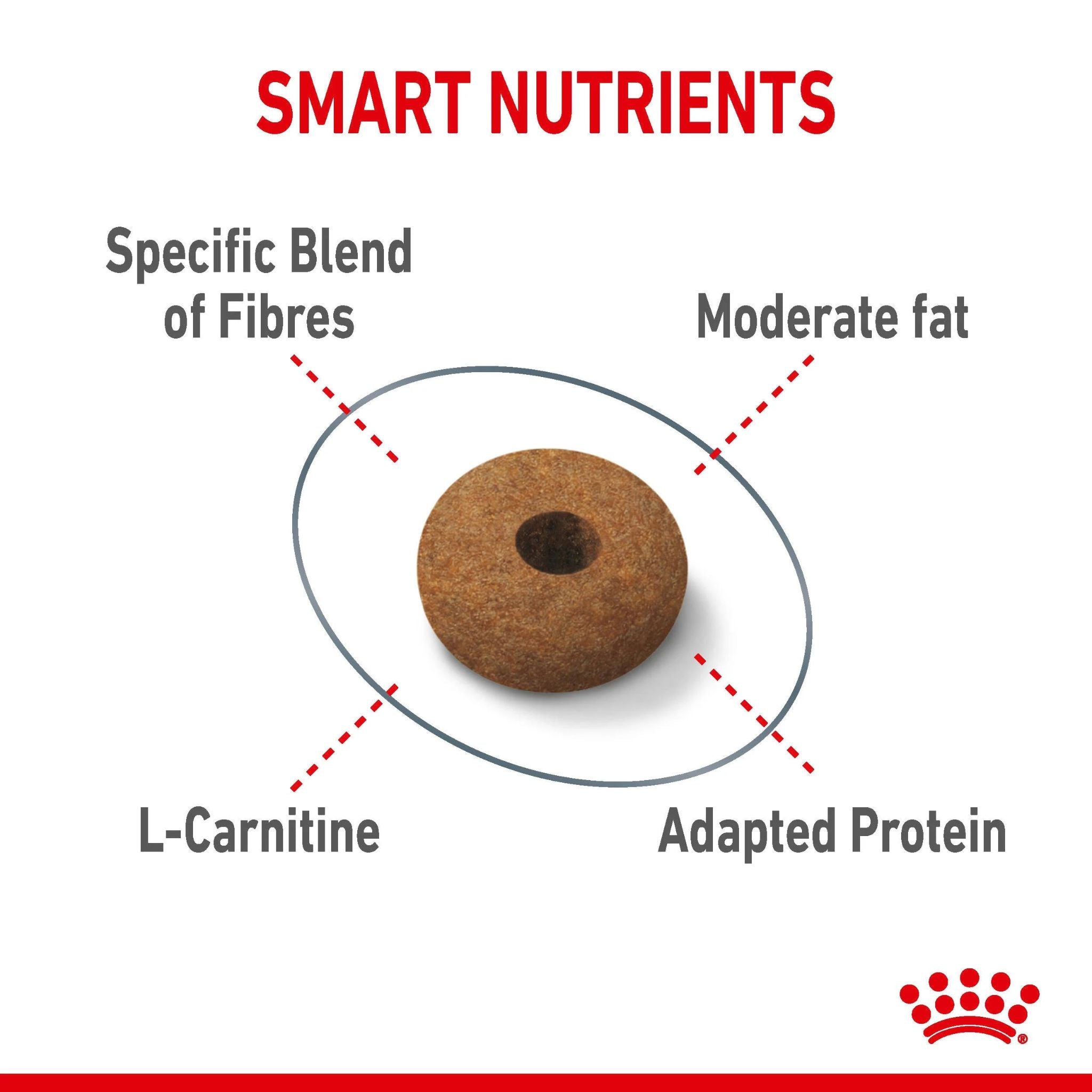 Royal Canin Appetite Control Care Dry Cat Food