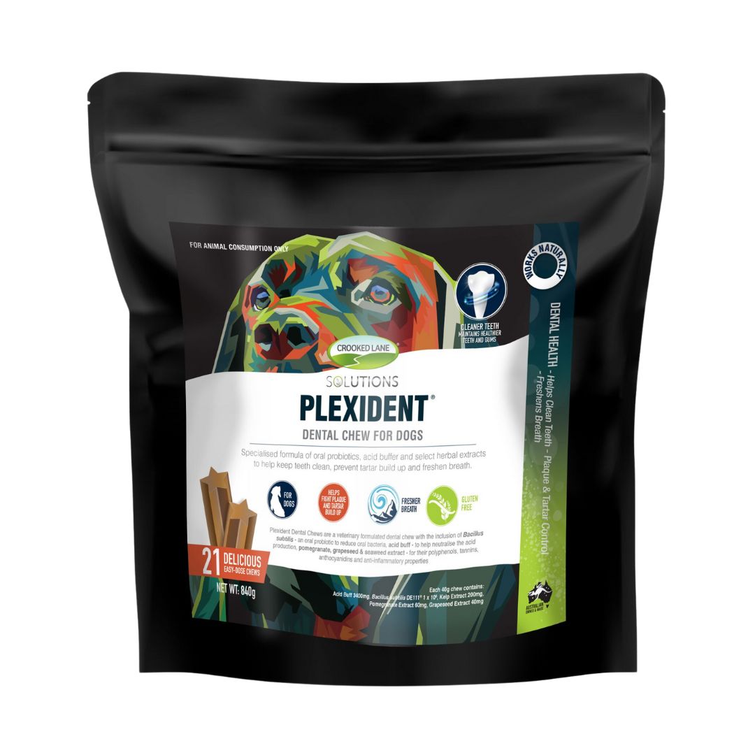 Crooked Lane Plexident Dental Chew For Dogs
