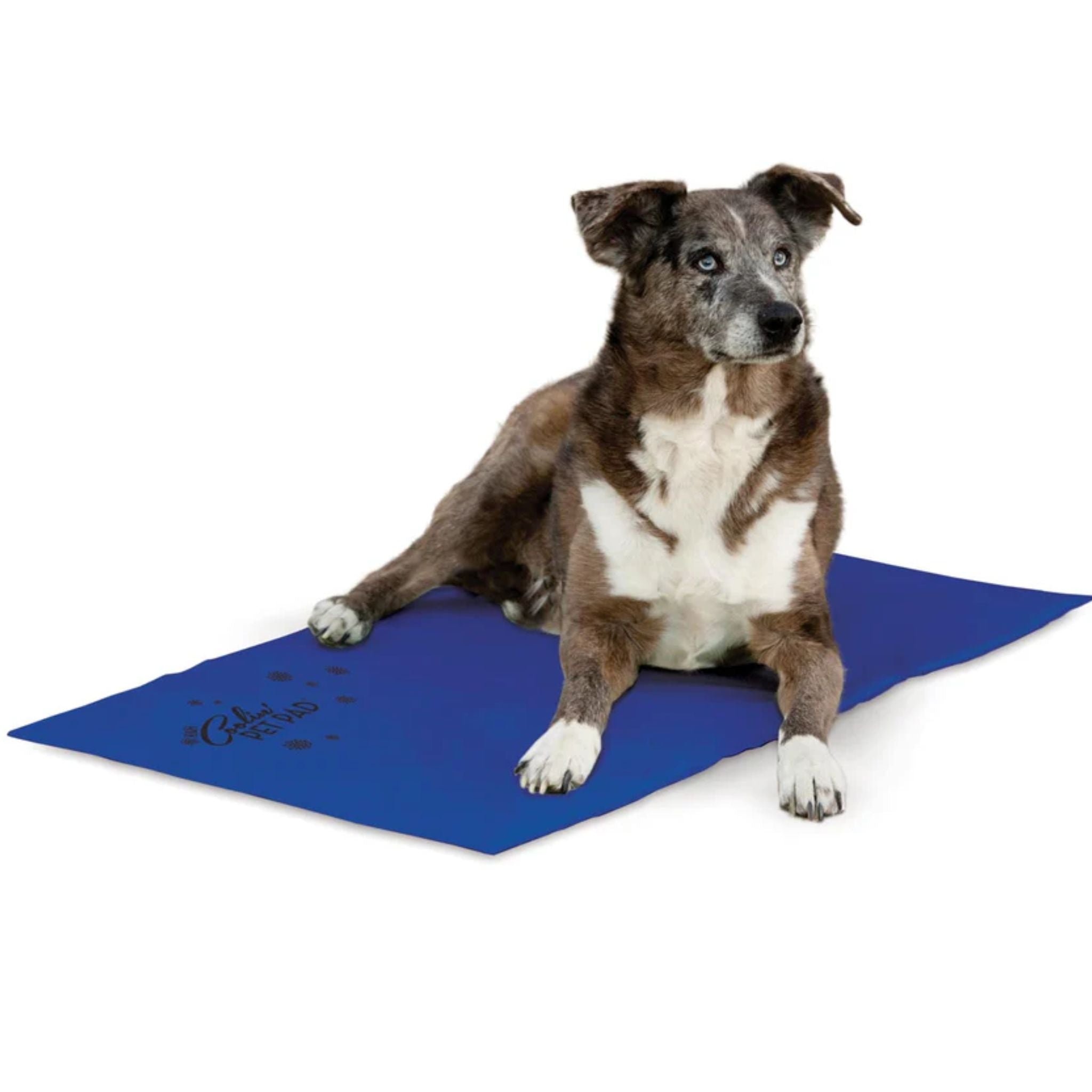 K&H Coolin' Pet Pad