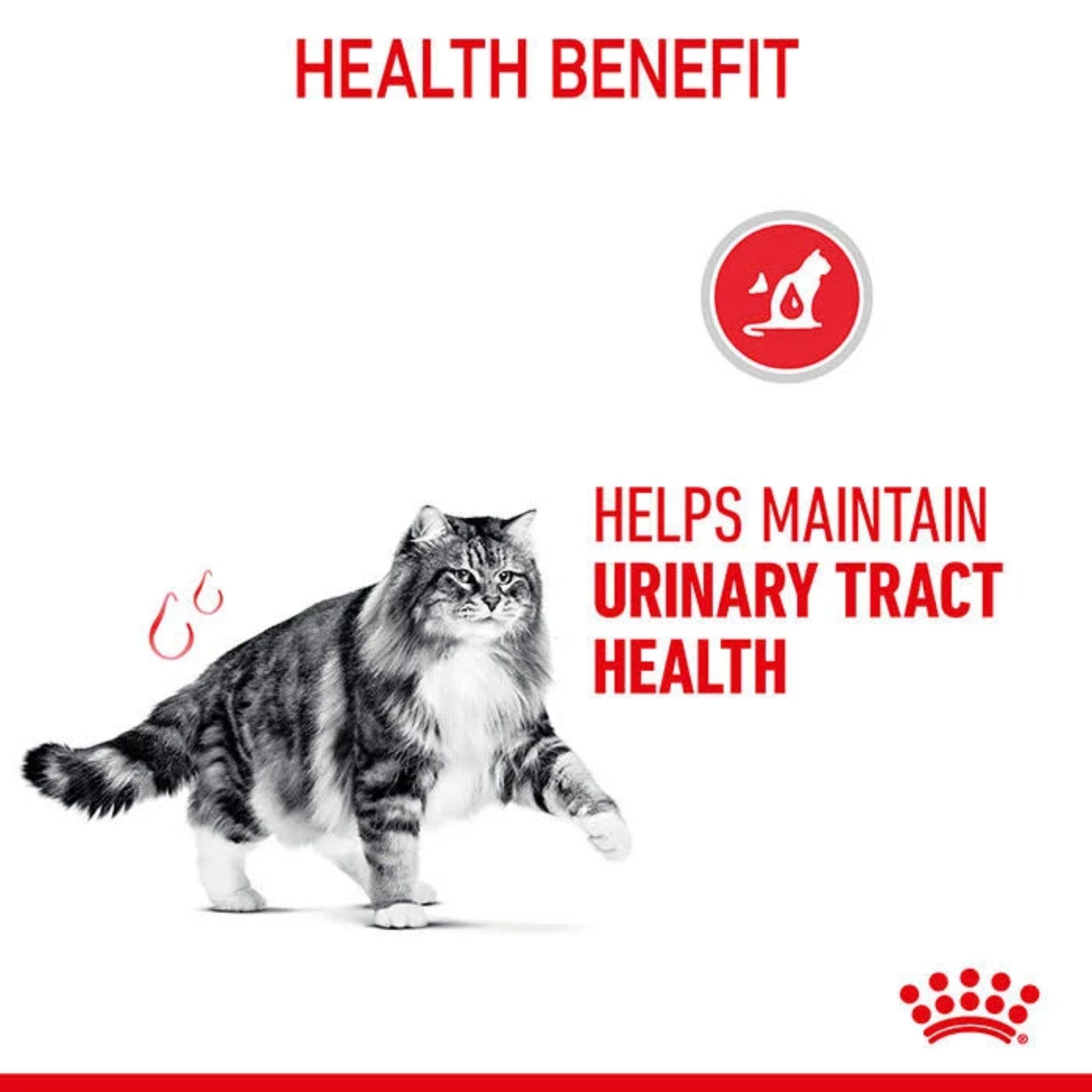 Royal Canin Wet Cat Food Urinary Care Gravy