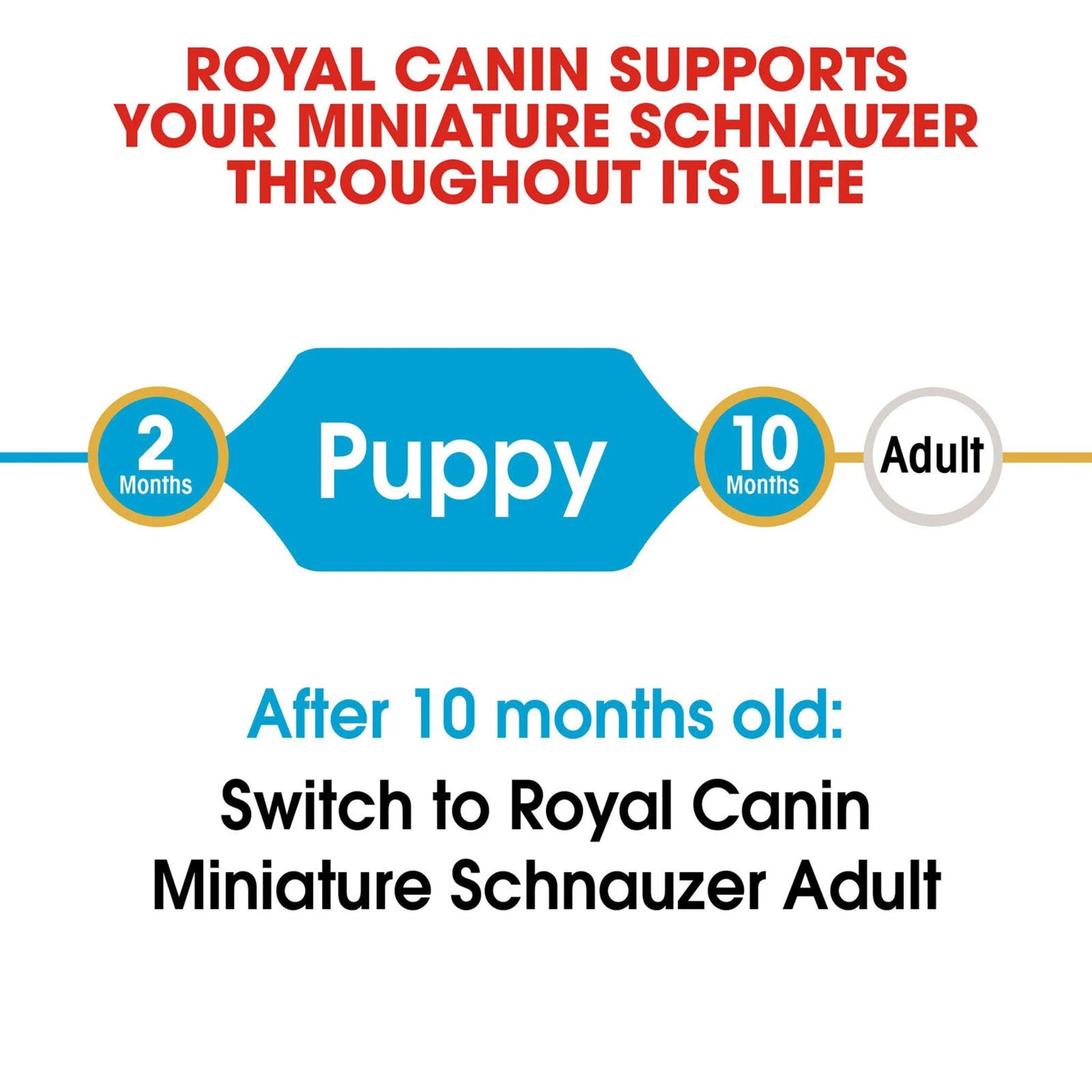 Royal Canin Miniature Schnauzer Puppy