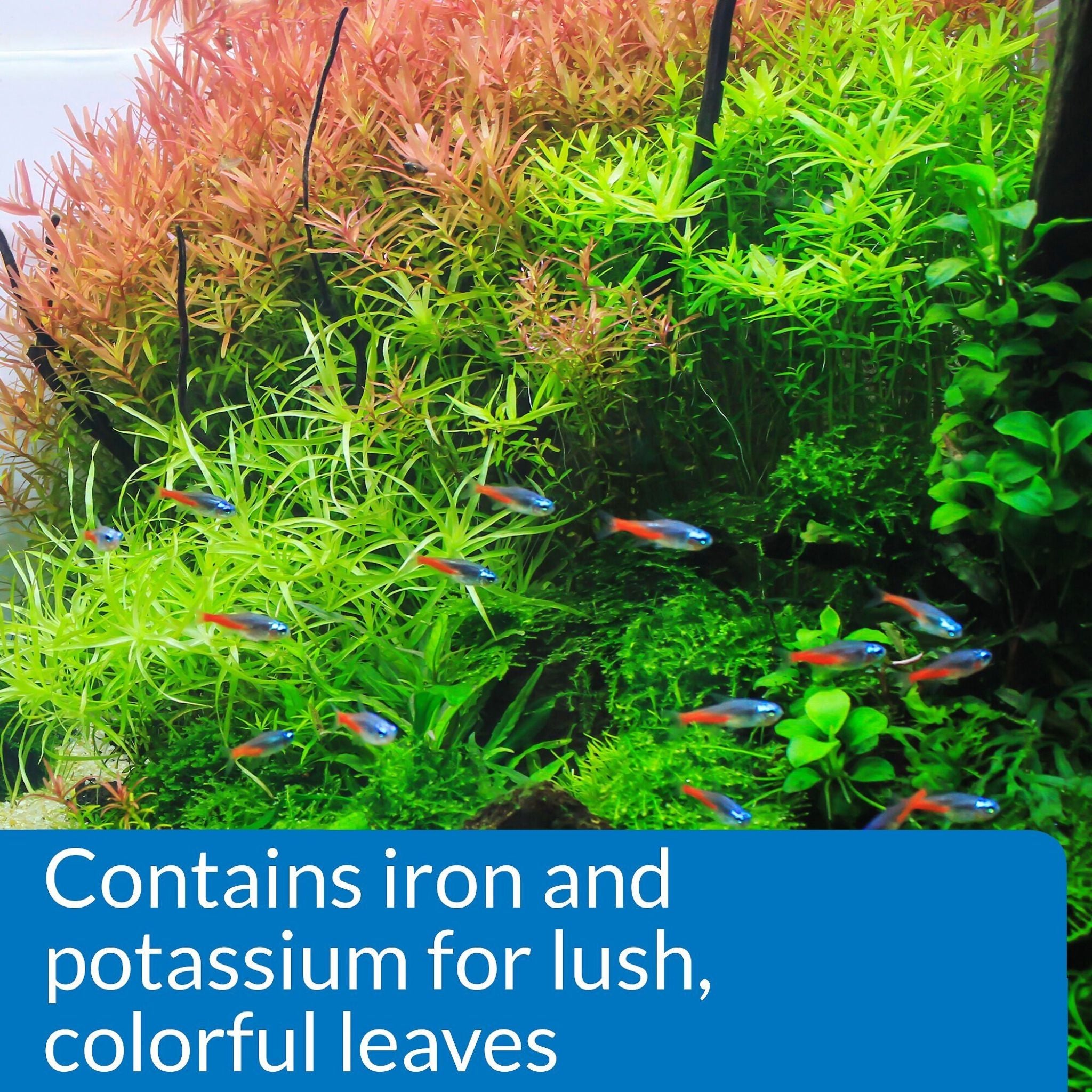 API Leaf Zone Freshwater Aquarium Plant Fertiliser