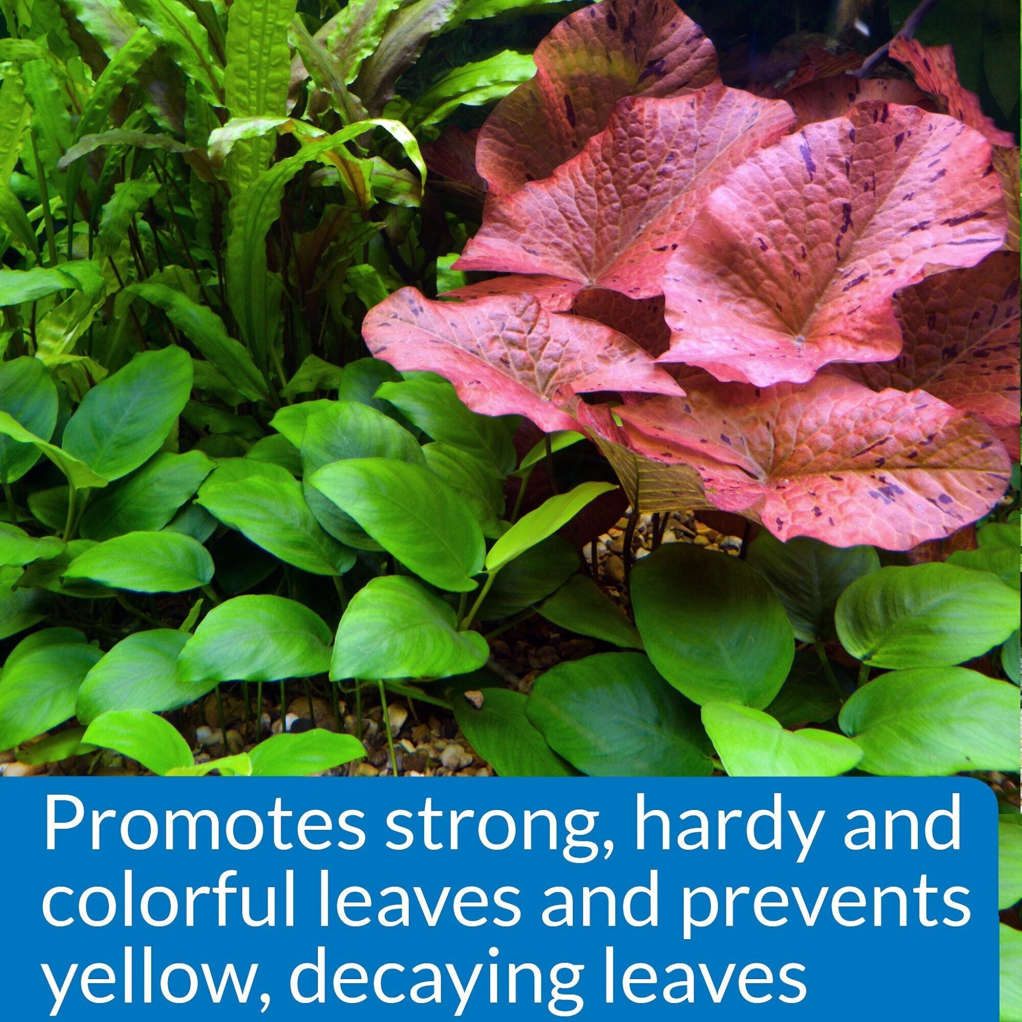 API Leaf Zone Freshwater Aquarium Plant Fertiliser