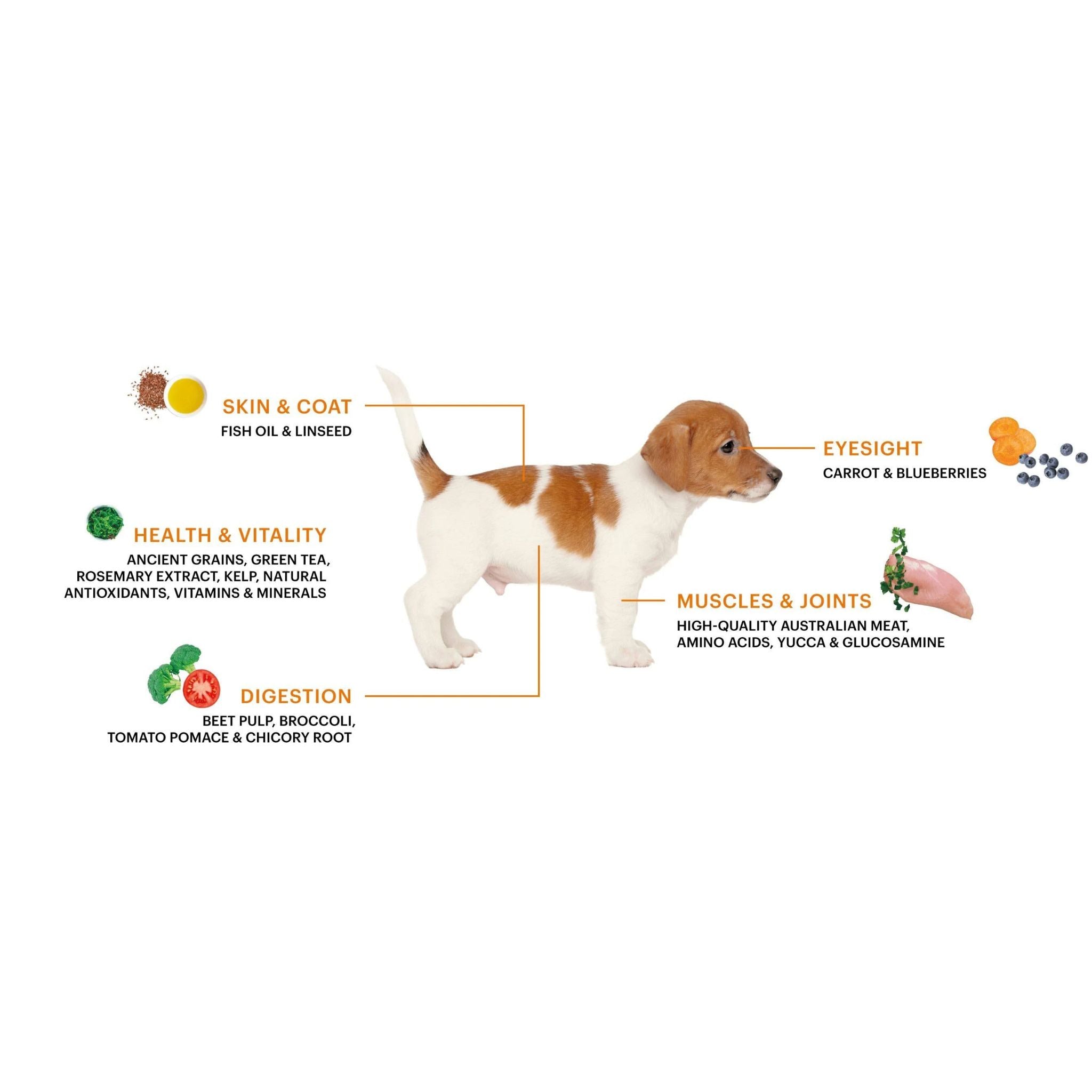 SavourLife Grain Free Small Breed Puppy Australian Chicken Dry Dog Food