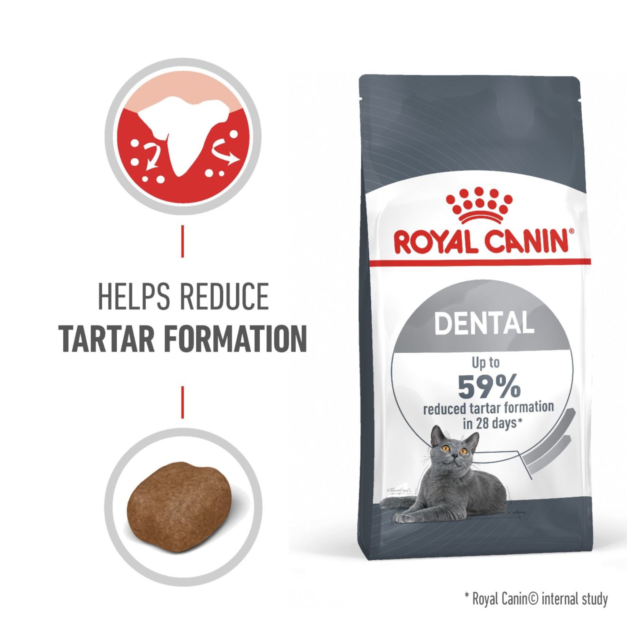 Royal Canin Dental Care Dry Cat Food