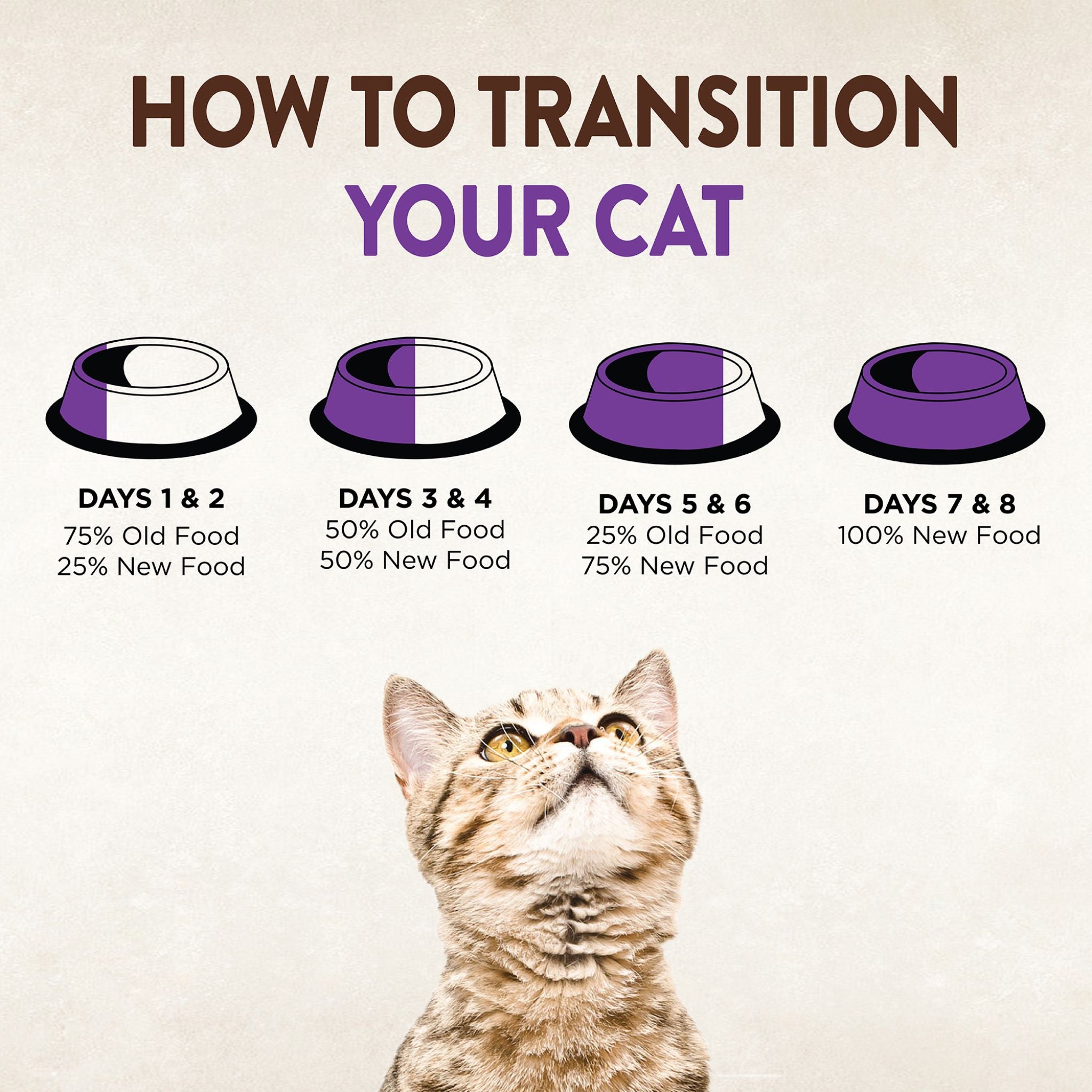 Wellness Core Dry Cat Food Grain Free Kitten: Chicken & Turkey