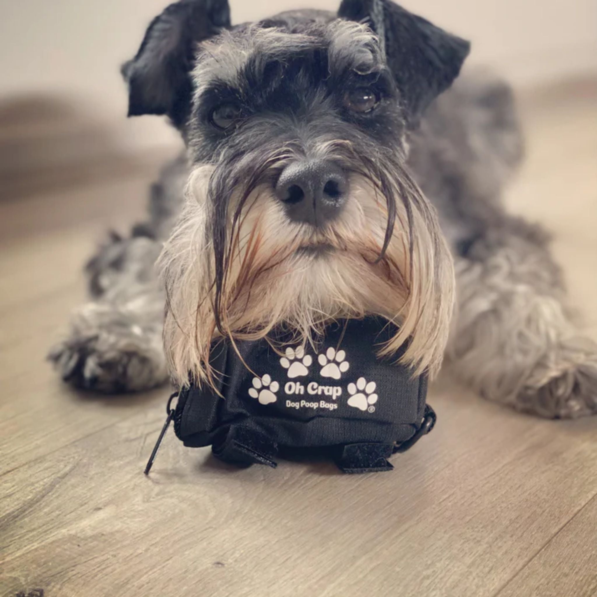 Oh Crap Dog Poop Bag Holder