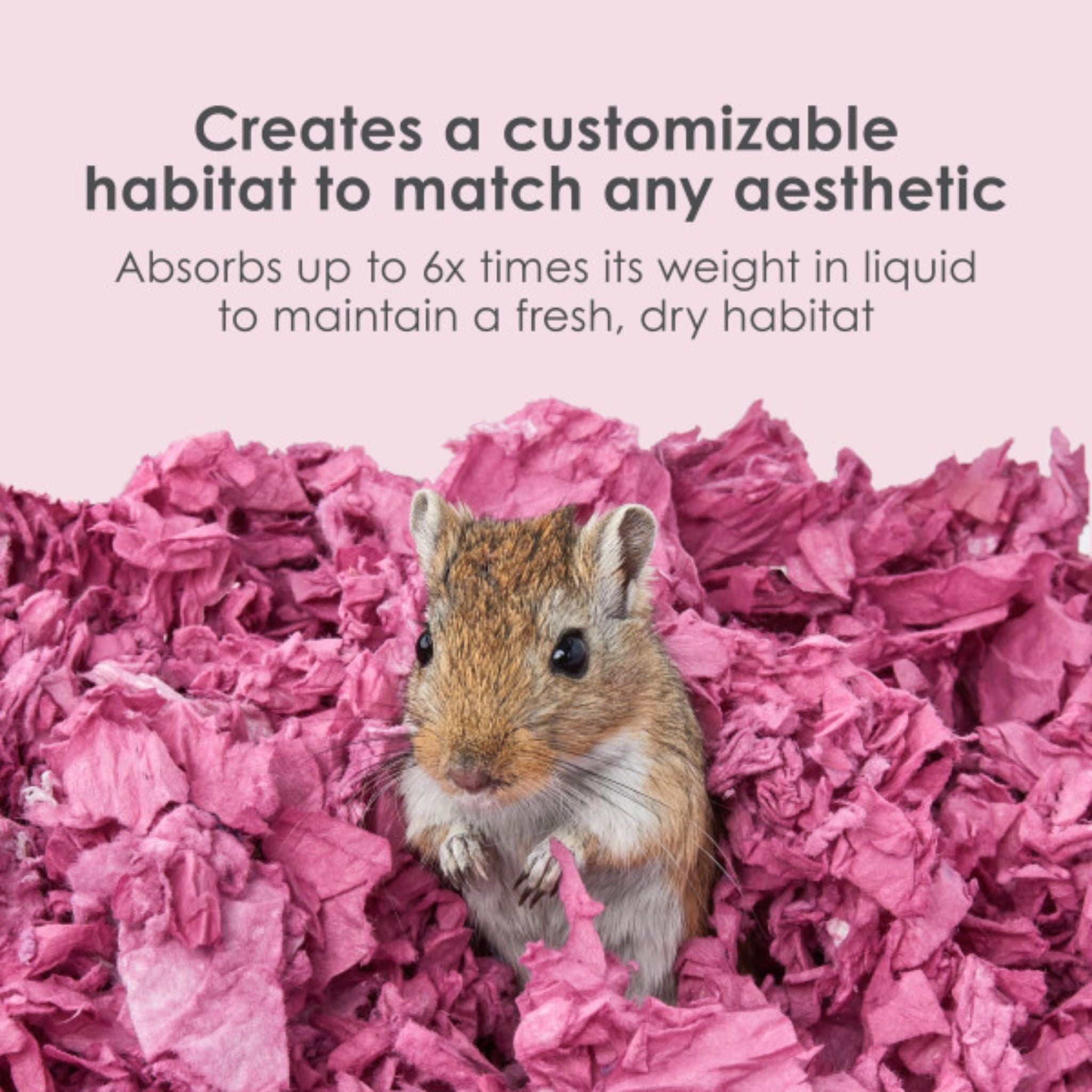 Kaytee Clean & Cozy Colors Plum Bedding