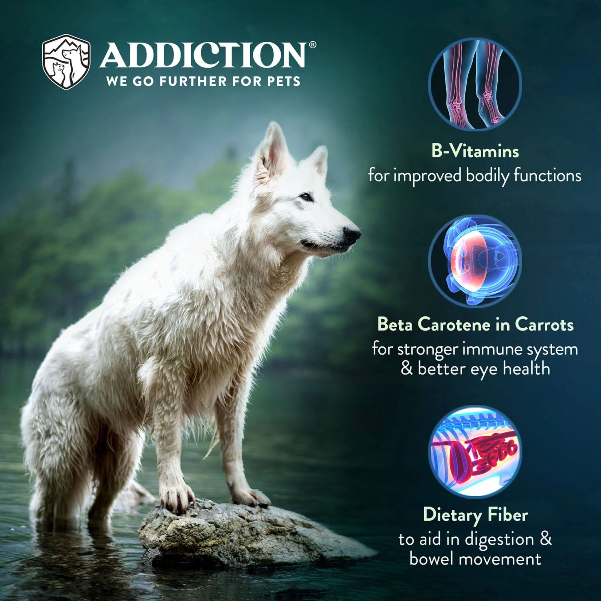 ADDICTION Country Chicken & Apricot Raw Alternative Dog Food