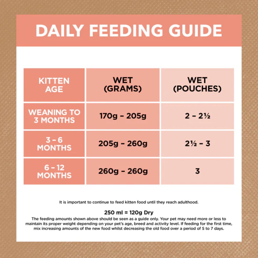 Ivory Coat Grain Free Kitten Wet Food Chicken and Beef in Gravy