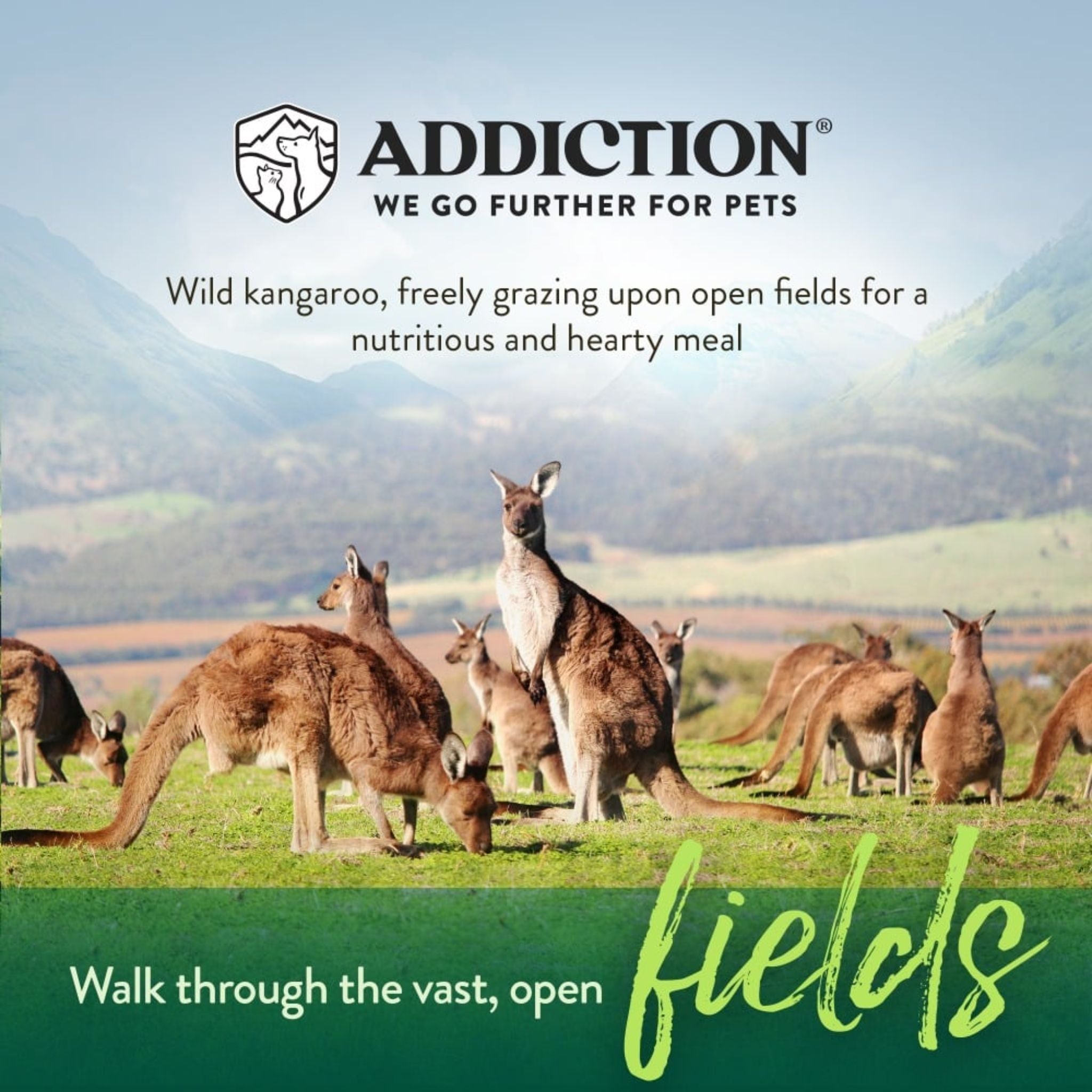 ADDICTION Wild Kangaroo and Apples Dry Dog Food