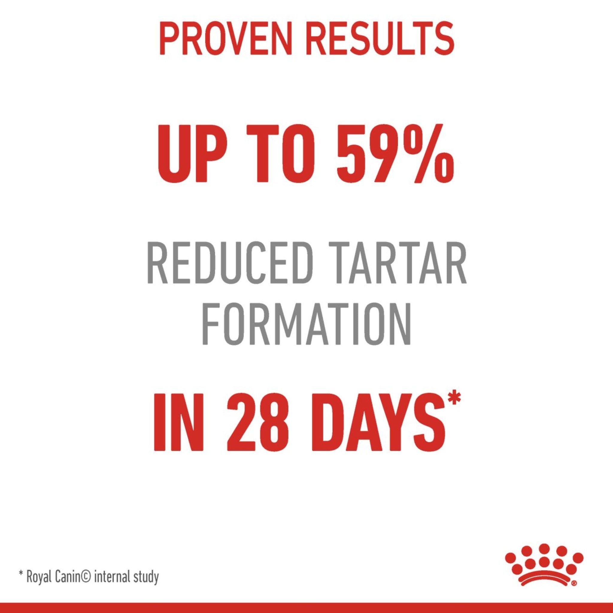 Royal Canin Dental Care Dry Cat Food