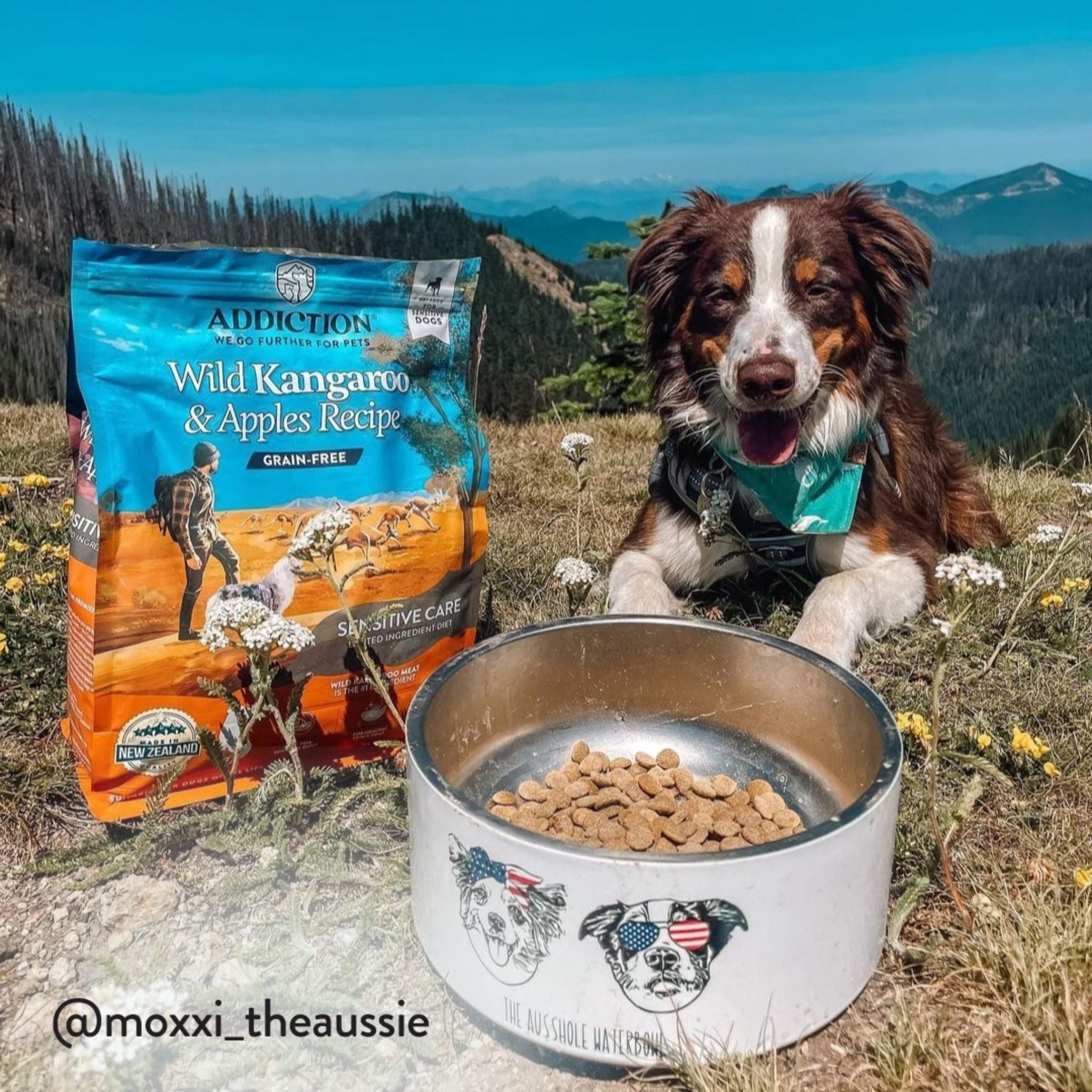 ADDICTION Wild Kangaroo and Apples Dry Dog Food