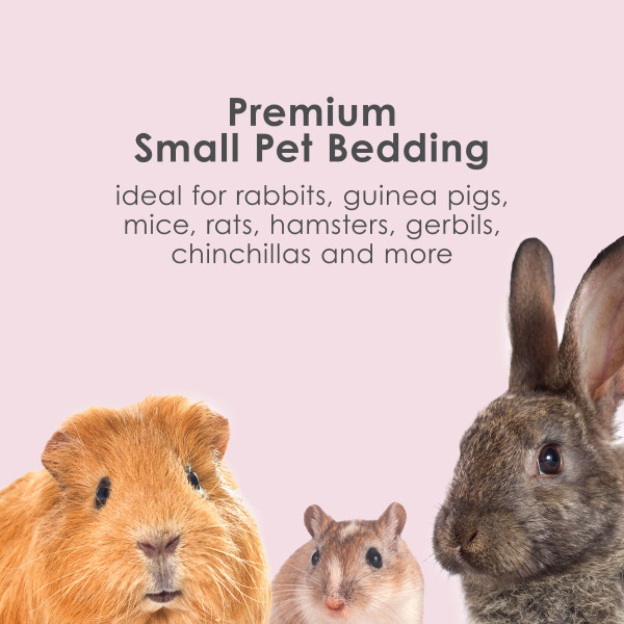 Kaytee Clean & Cozy Colors Plum Bedding