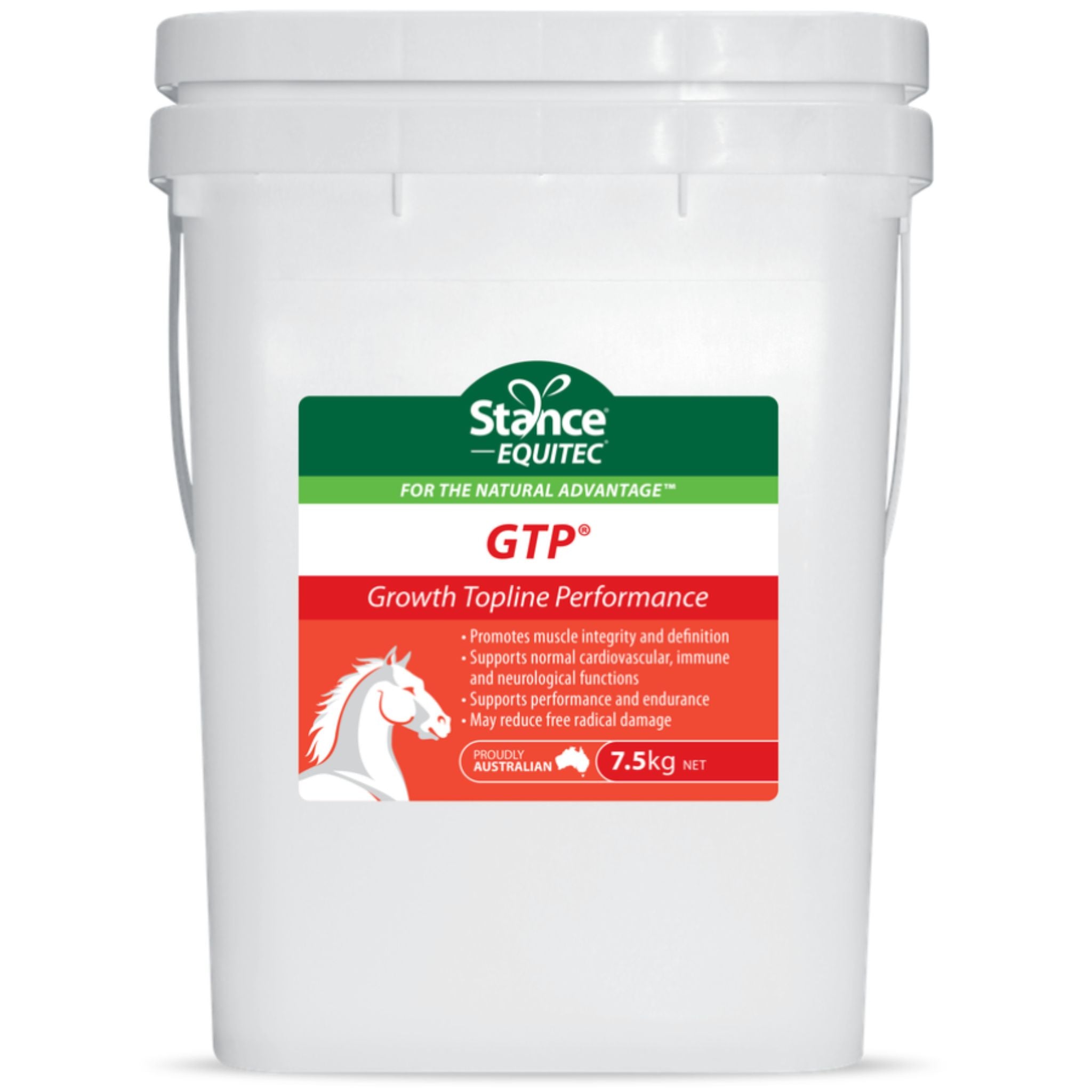 Stance Equitec GTP for Horses