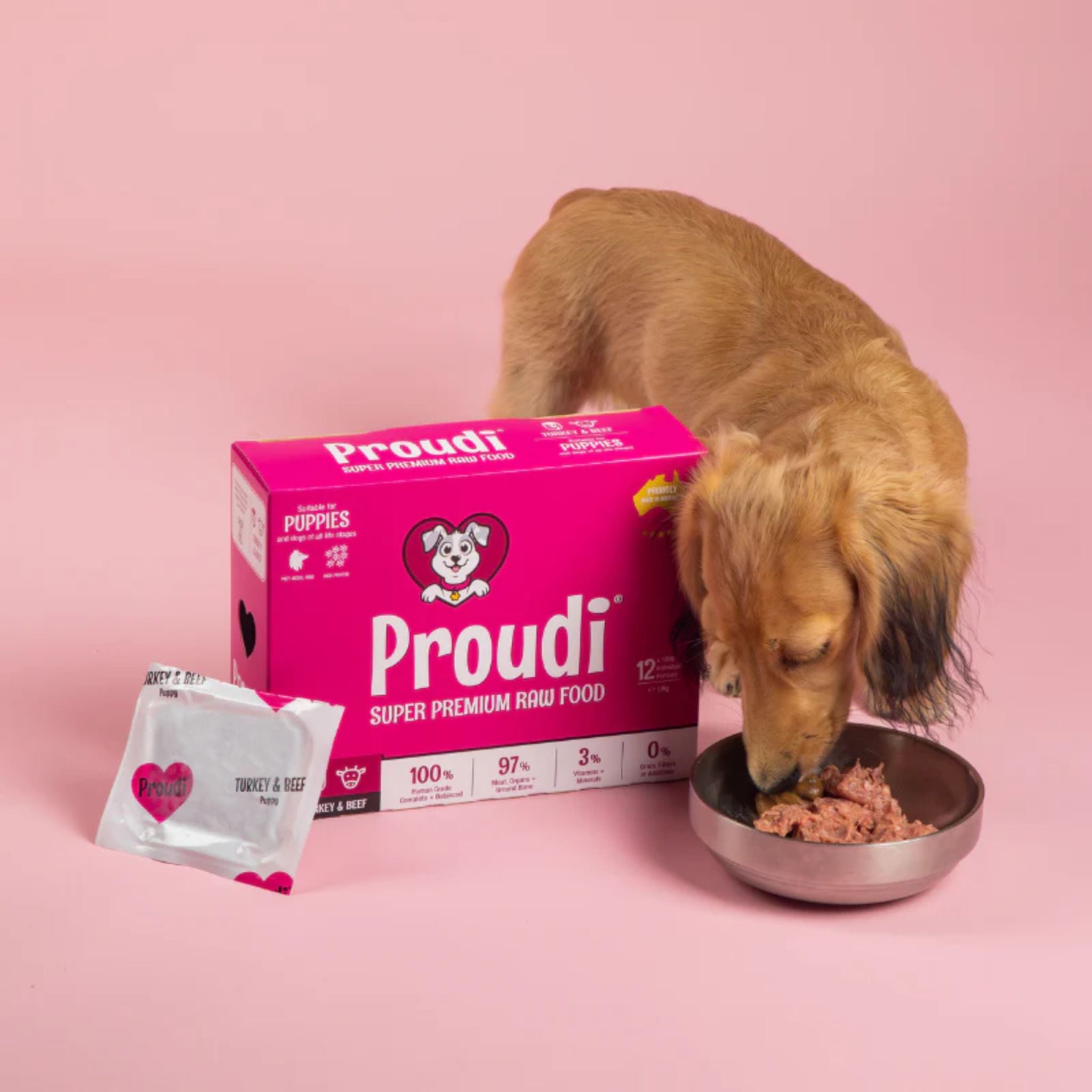 Proudi Turkey and Beef Raw Patties for Puppies