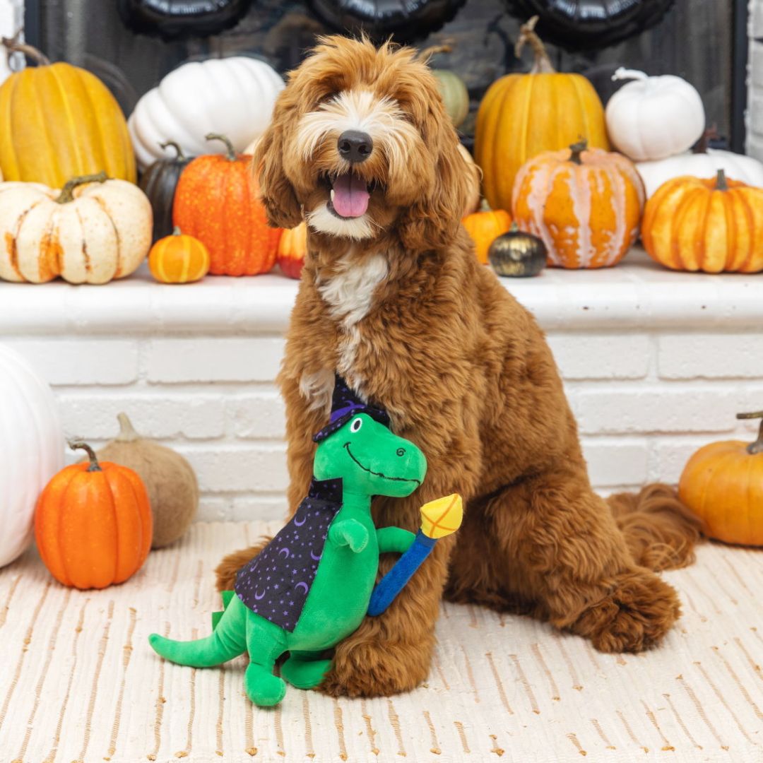 Fringe Studio Halloween Plush Squeaker Dog Toy - Spell-A-Saurus Dino Witch | PeekAPaw Pet Supplies