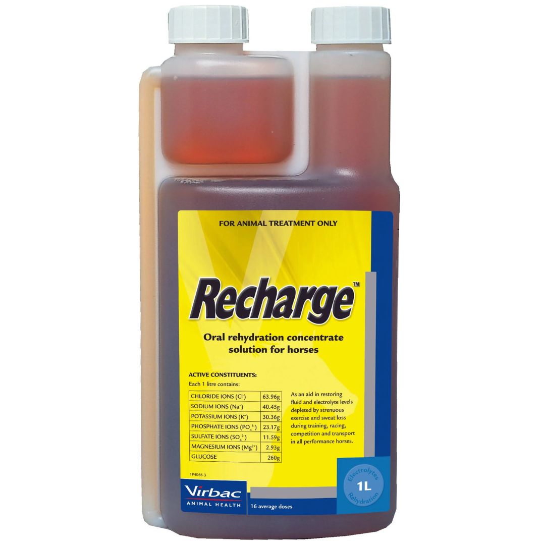 Virbac Recharge The Sports Drink for Horses - 1L | PeekAPaw Pet Supplies