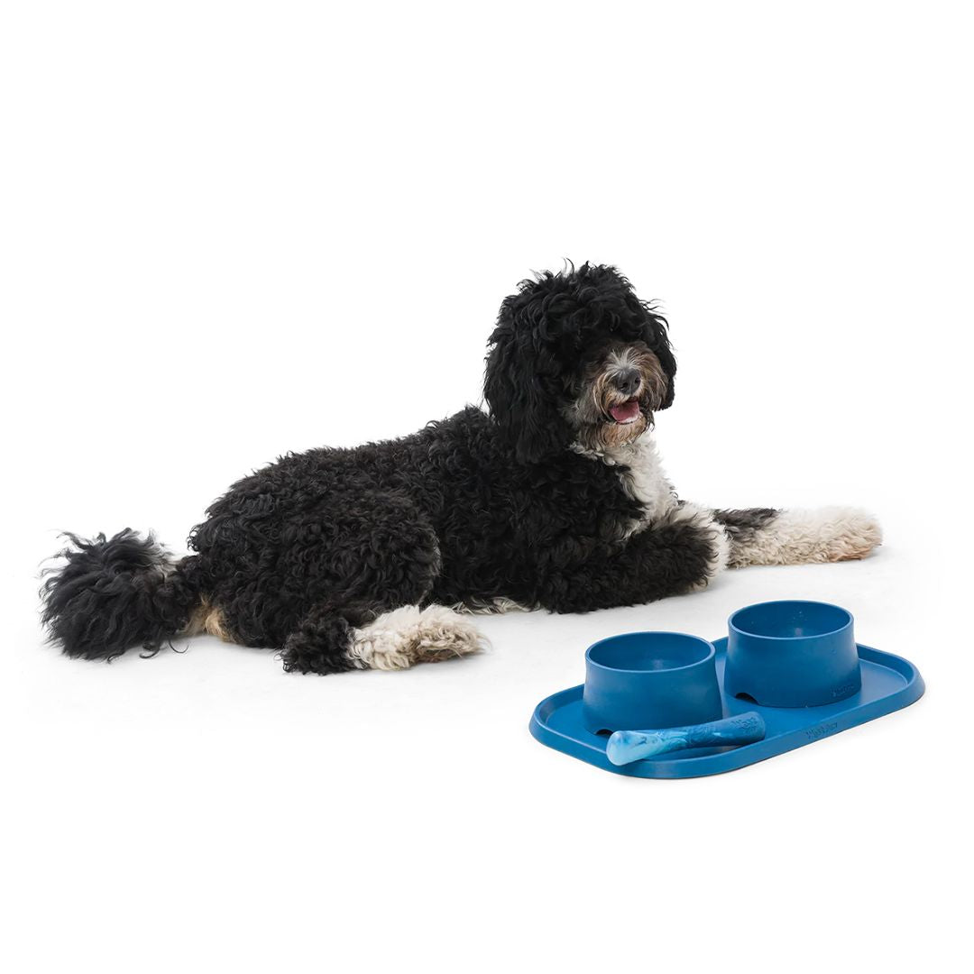 West Paw Doggie Placemat Dog Feeding Mat