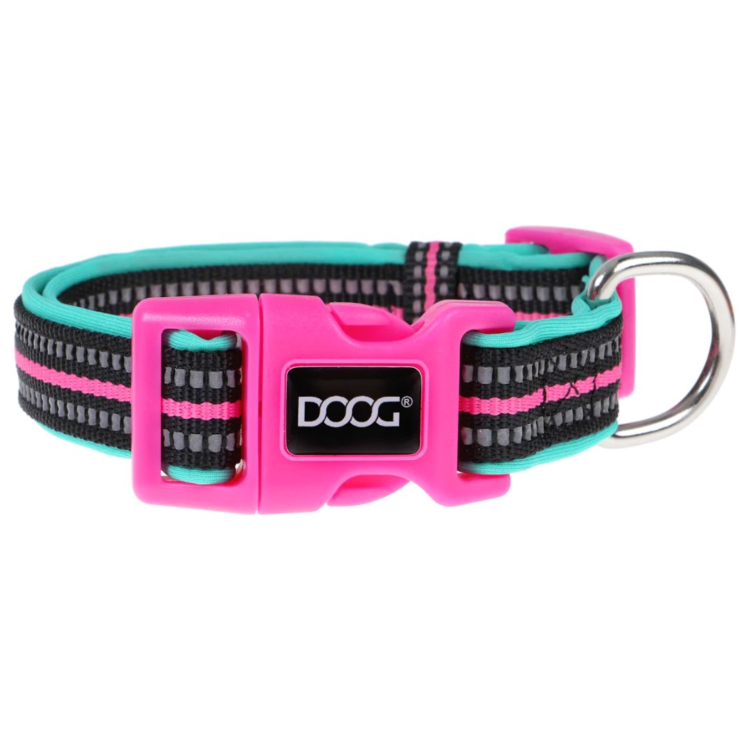 Doog Neoprene Dog Collar - (Neon High Vis) Rin Tin Tin