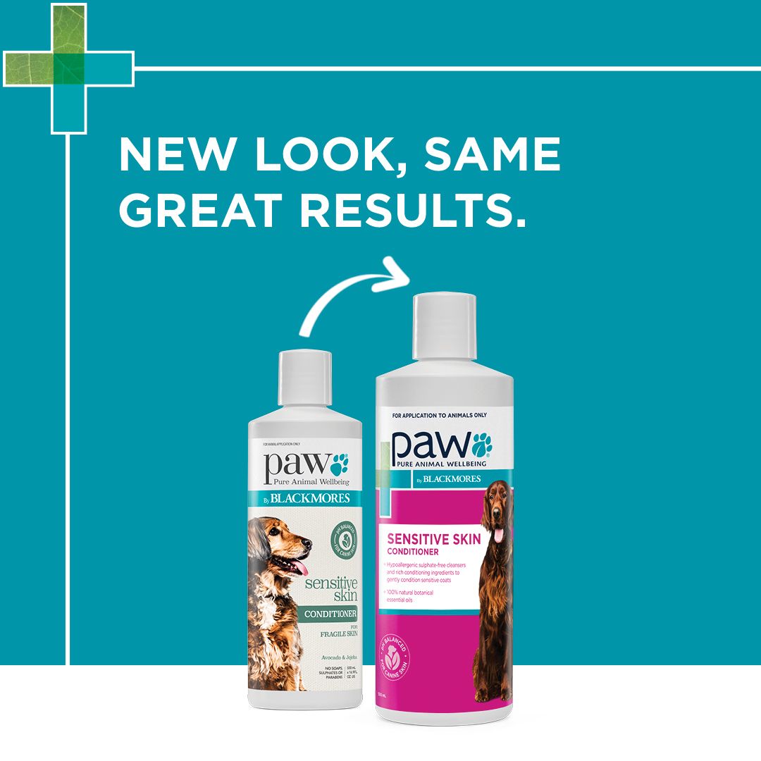PAW by Blackmores Sensitive Skin Conditioner for Dogs