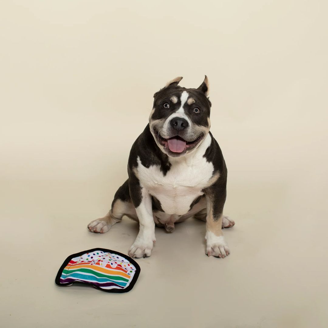 Fringe Studio Plush Squeaker Dog Toy - Piece Of Cake | PeekAPaw Pet Supplies