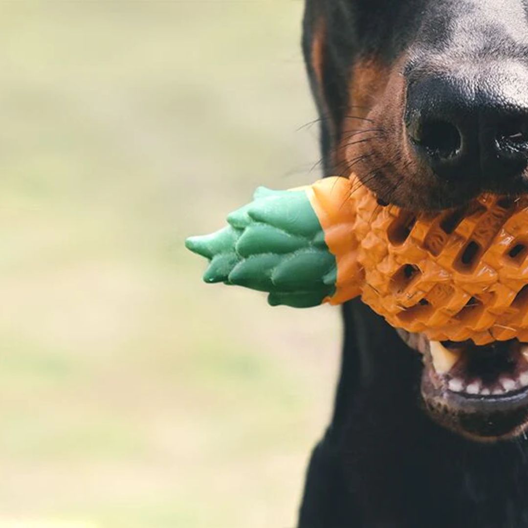 Petopia Ultra Tough Dog Toy Pawsome Pineapple