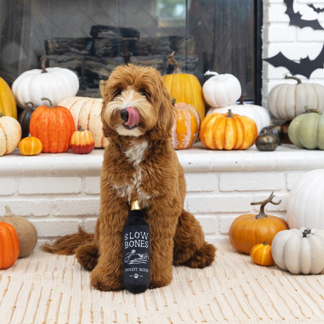 Fringe Studio Halloween Plush Squeaker Dog Toy - Slow Bones Pinot Noir | PeekAPaw Pet Supplies