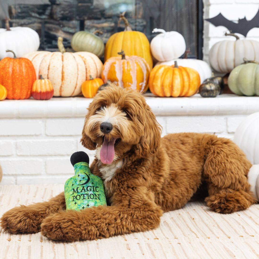 Fringe Studio Halloween Plush Squeaker Dog Toy - Going Through The Potions | PeekAPaw Pet Supplies