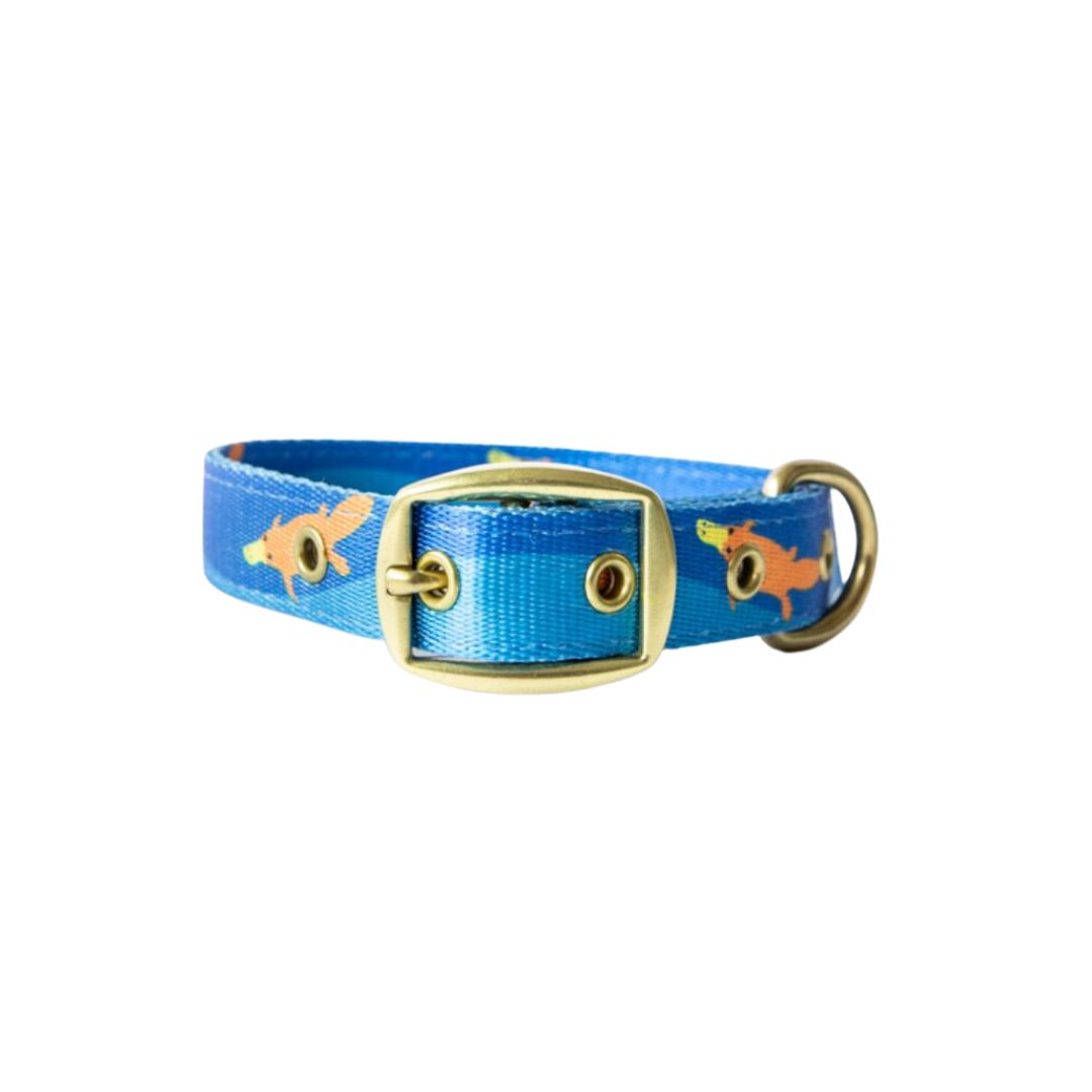 Anipal Piper The Platypus Recycled Dog Collar - Small | PeekAPaw Pet Supplies