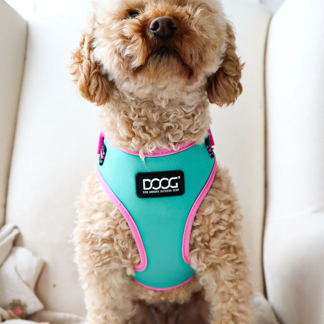 Doog Neoflex Soft Dog Harness - (Neon High Vis) Rin Tin Tin | PeekAPaw Pet Supplies