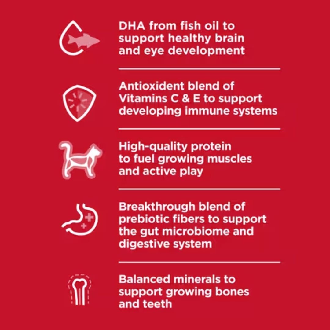 Hill's Science Diet Canned Cat Food Kitten Healthy Cuisine Tender Chicken & Rice Medley | PeekAPaw Pet Supplies