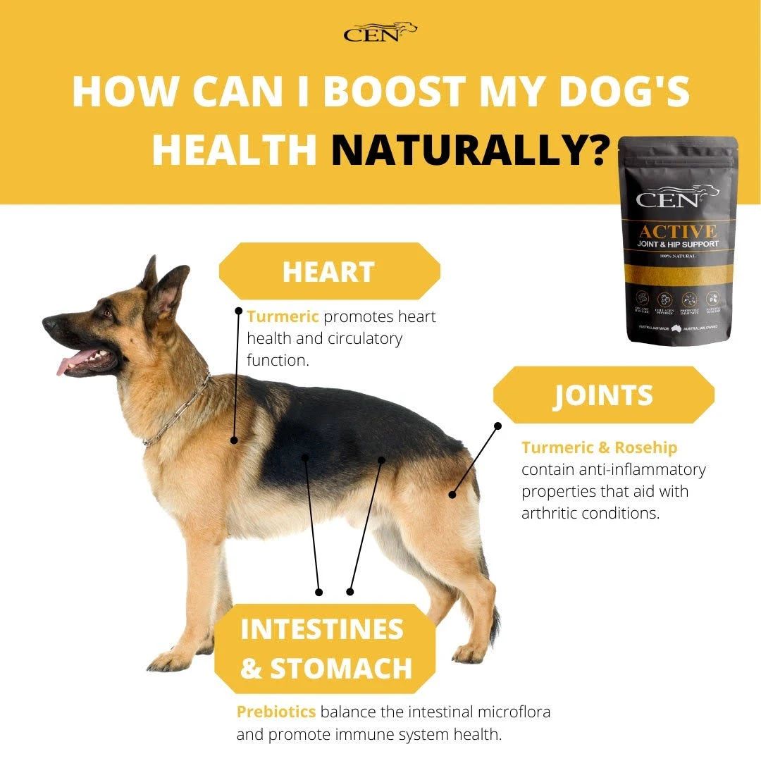 Cen Active Joint & Hip Supplements For Dogs - 500g | PeekAPaw Pet Supplies