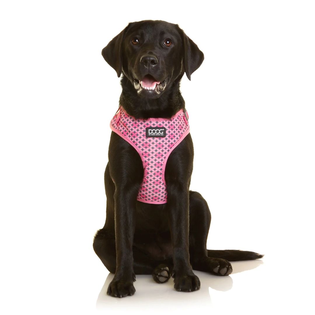 Doog Neoflex Soft Dog Harness - Toto | PeekAPaw Pet Supplies
