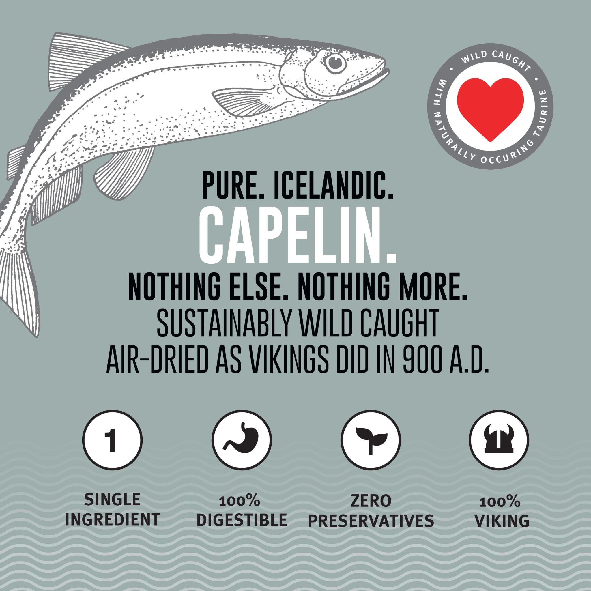 Icelandic+ Cat Treats Capelin Whole Fish