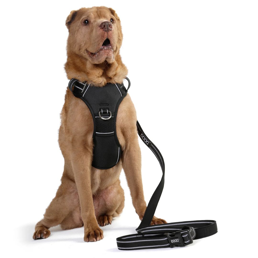 Doog Neotech Dog Harness - Black  | PeekAPaw Pet Supplies