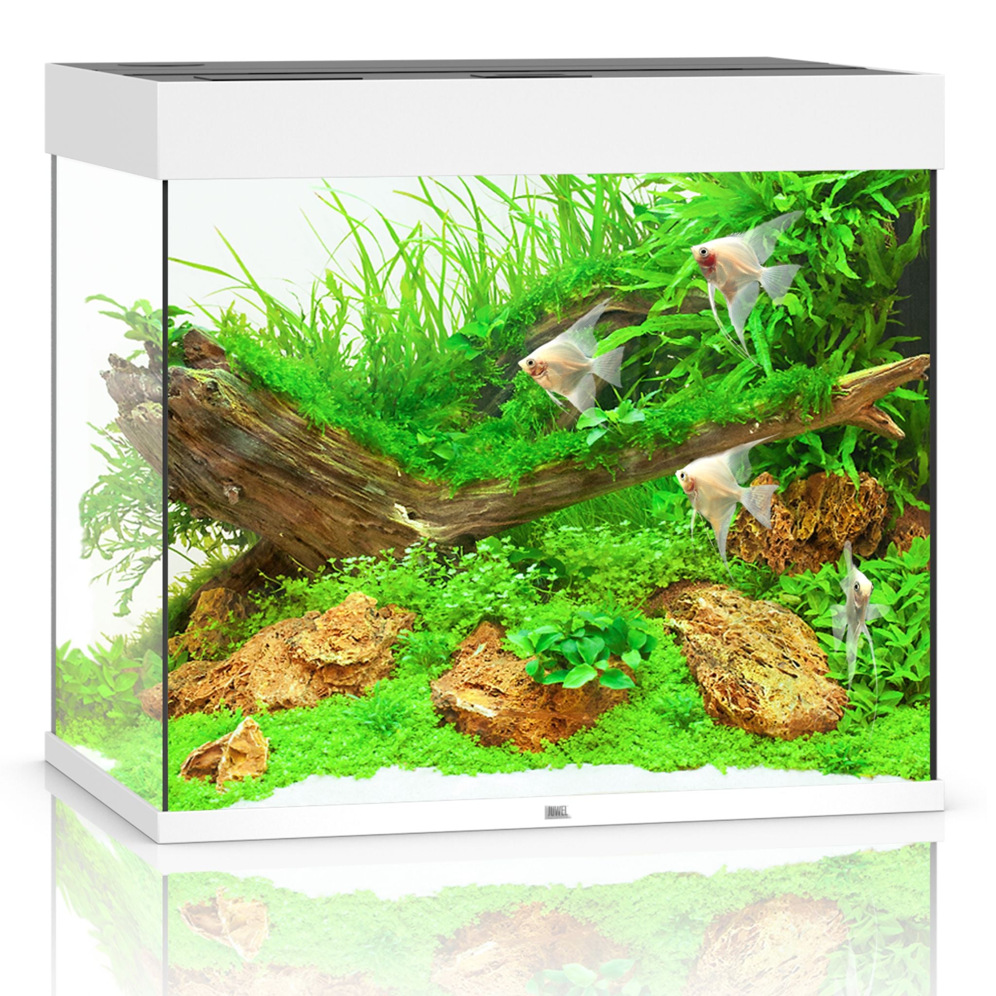 Juwel Lido LED Aquarium 120L