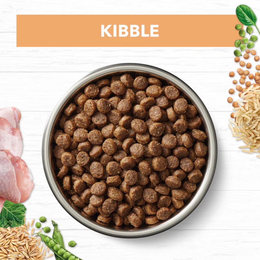 Ivory Coat Holistic Nutrition Puppy All Breeds Dry Dog Food Chicken & Brown Rice