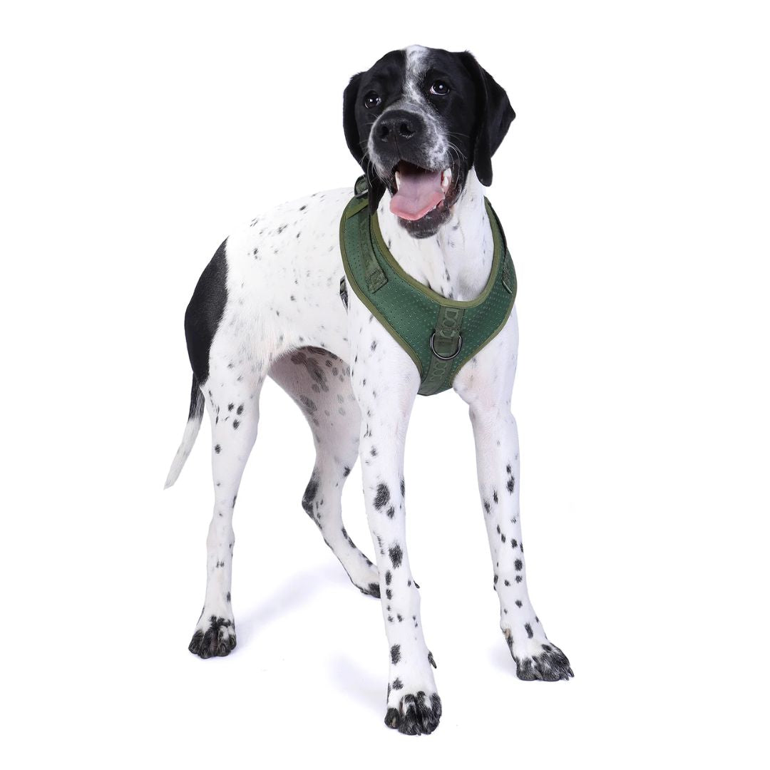 Doog Neosport Dog Soft Harness - Olive Green | PeekAPaw Pet Supplies