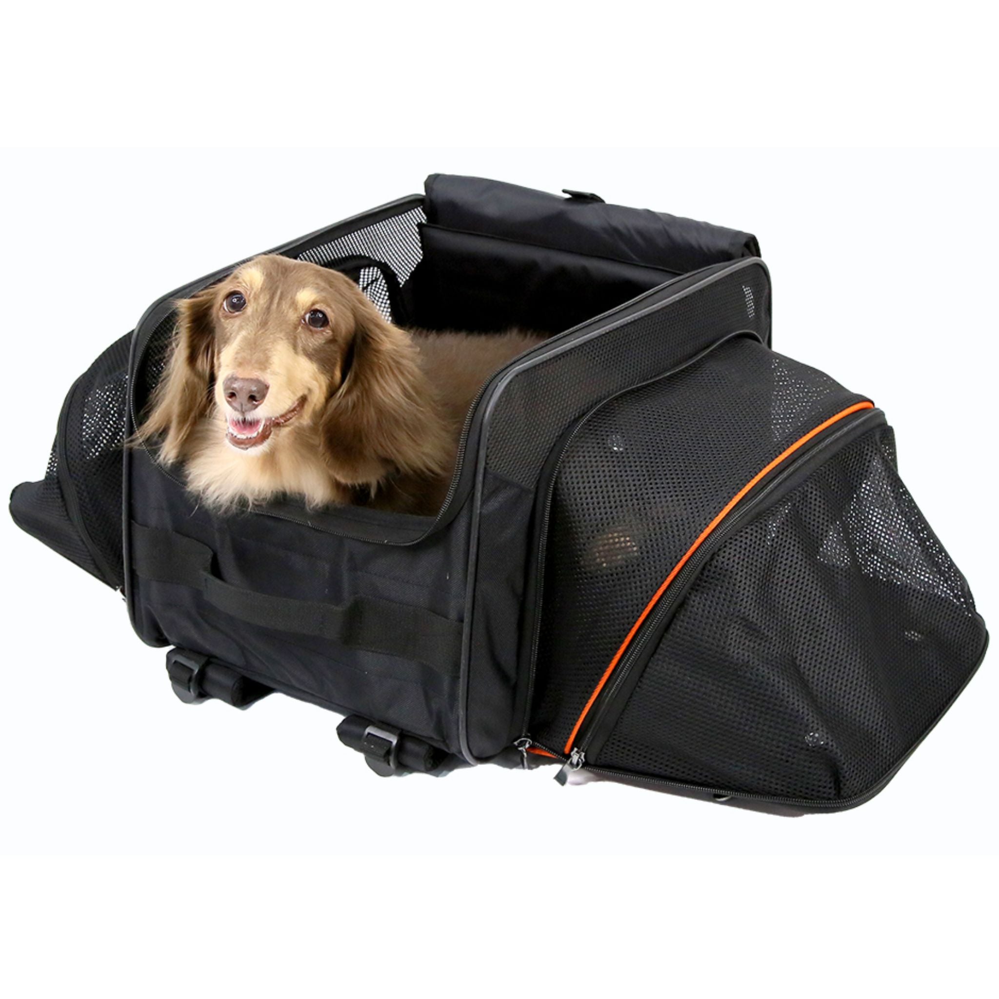 Ibiyaya JetPaw 3-in-1 Pet Stroller with Removable Carrier