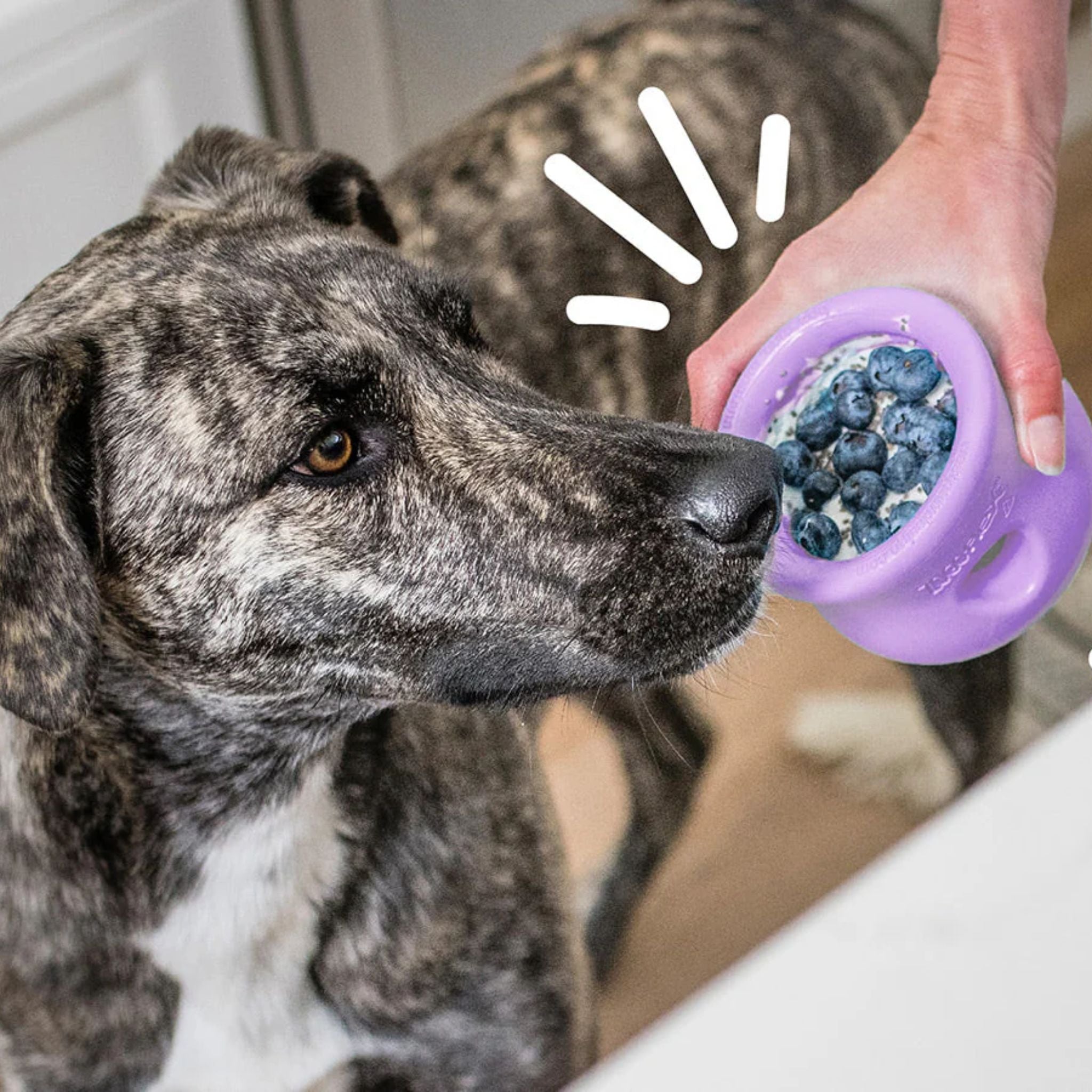 West Paw Toppl Treat Dispensing Dog Toys